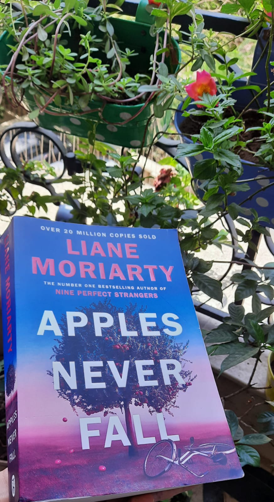 Book review of best selling novel Apples Never Fall by Liane Moriarty